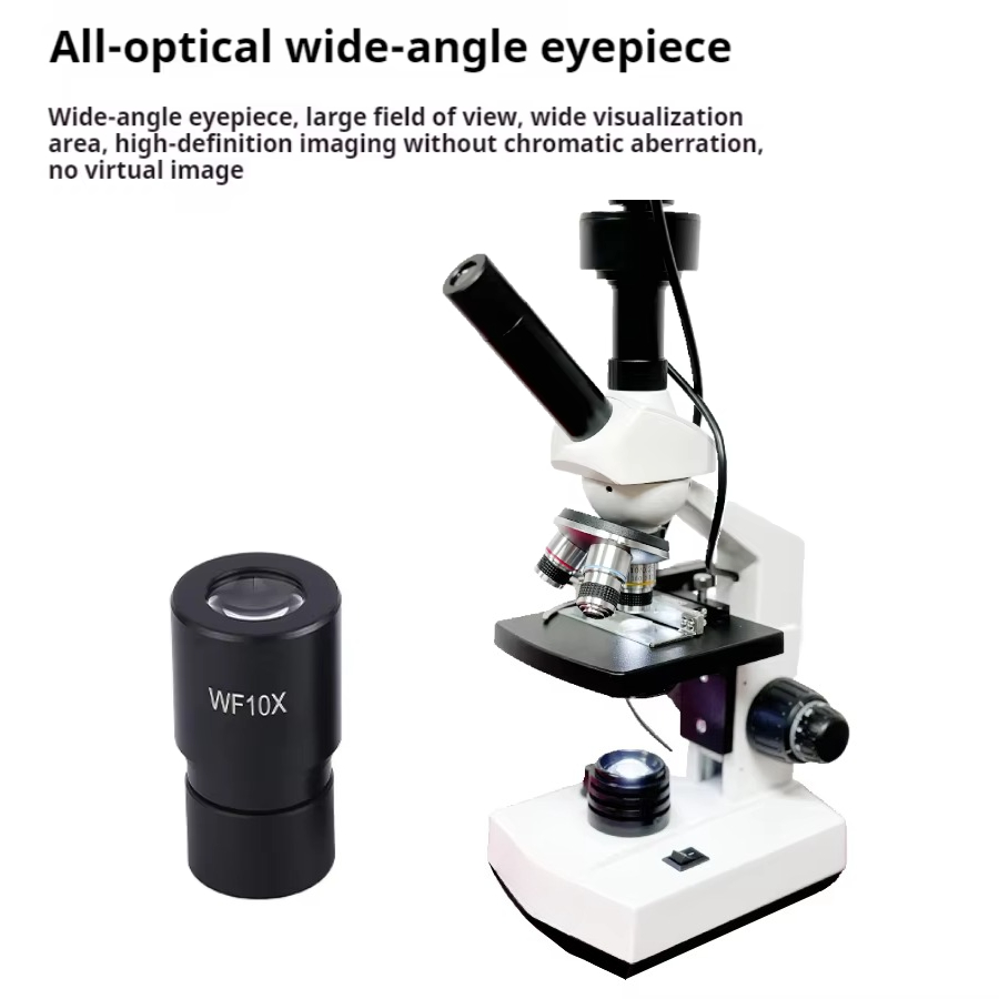 กล้องจุลทรรศน์ดิจิตอลแบบสองตาช - Medical Lab Usa บทวิจารณ์และราคา