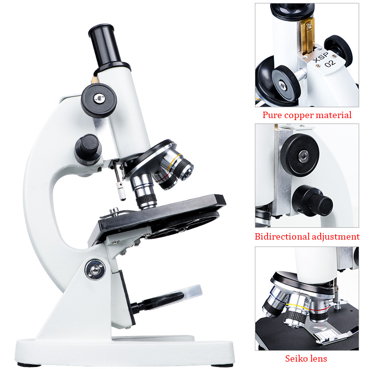 กล้องจุลทรรศน์ทางการแพทย์สำหรั - Medical Lab For Sale บทวิจารณ์และราคา